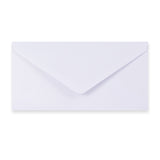 Paper Lined Envelopes